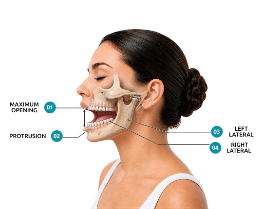 Skull and mandible diagram illustrating maximum opening, protrusion, and left and right lateral excursion